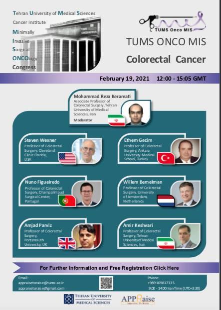 Transanal Endoscopic Surgery in the Treatment of Rectal Cancer