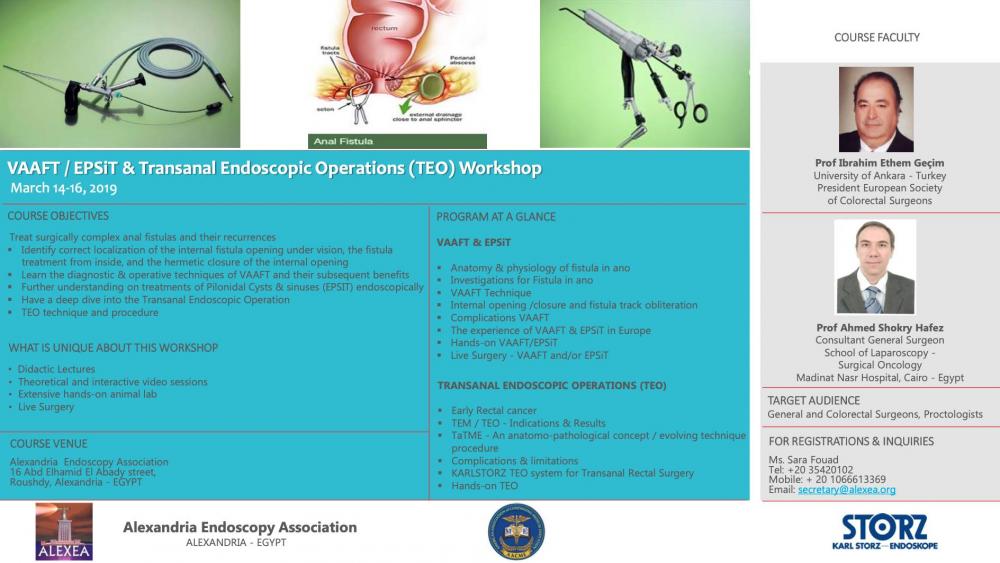 Advanced Transanal Endoscopy Workshop